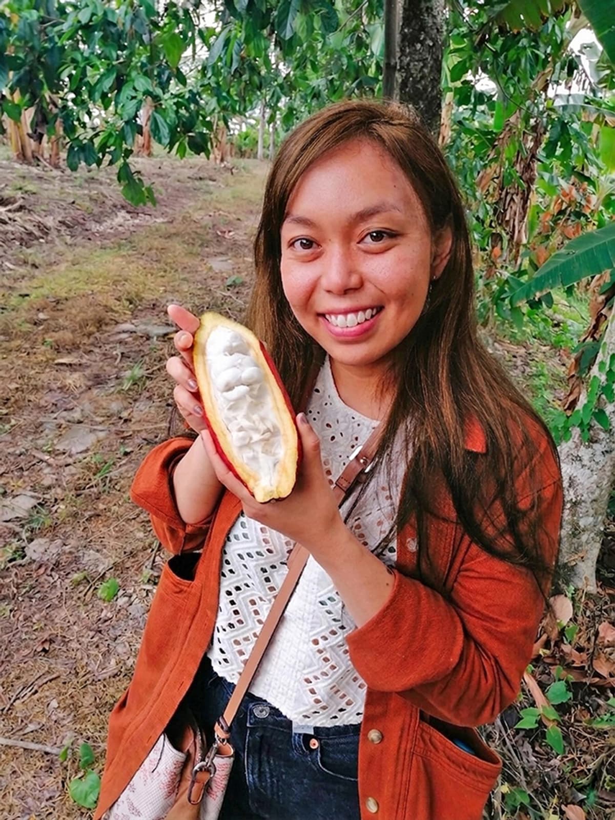 Tour del Cacao y Taller de Chocolate desde Armenia