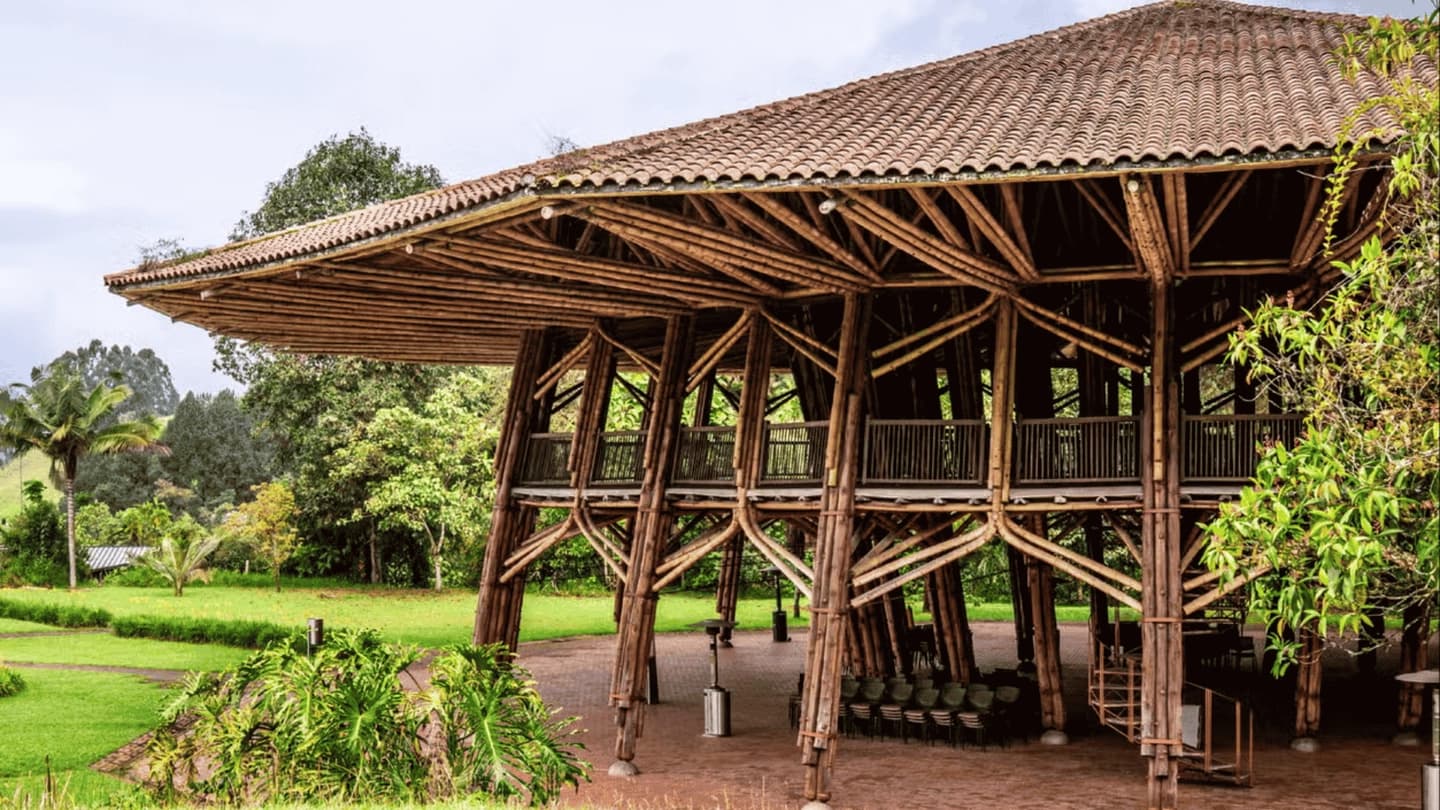 Tour ecoturístico, visita a mariposario y colibríes en el recinto del pensamiento en Manizales