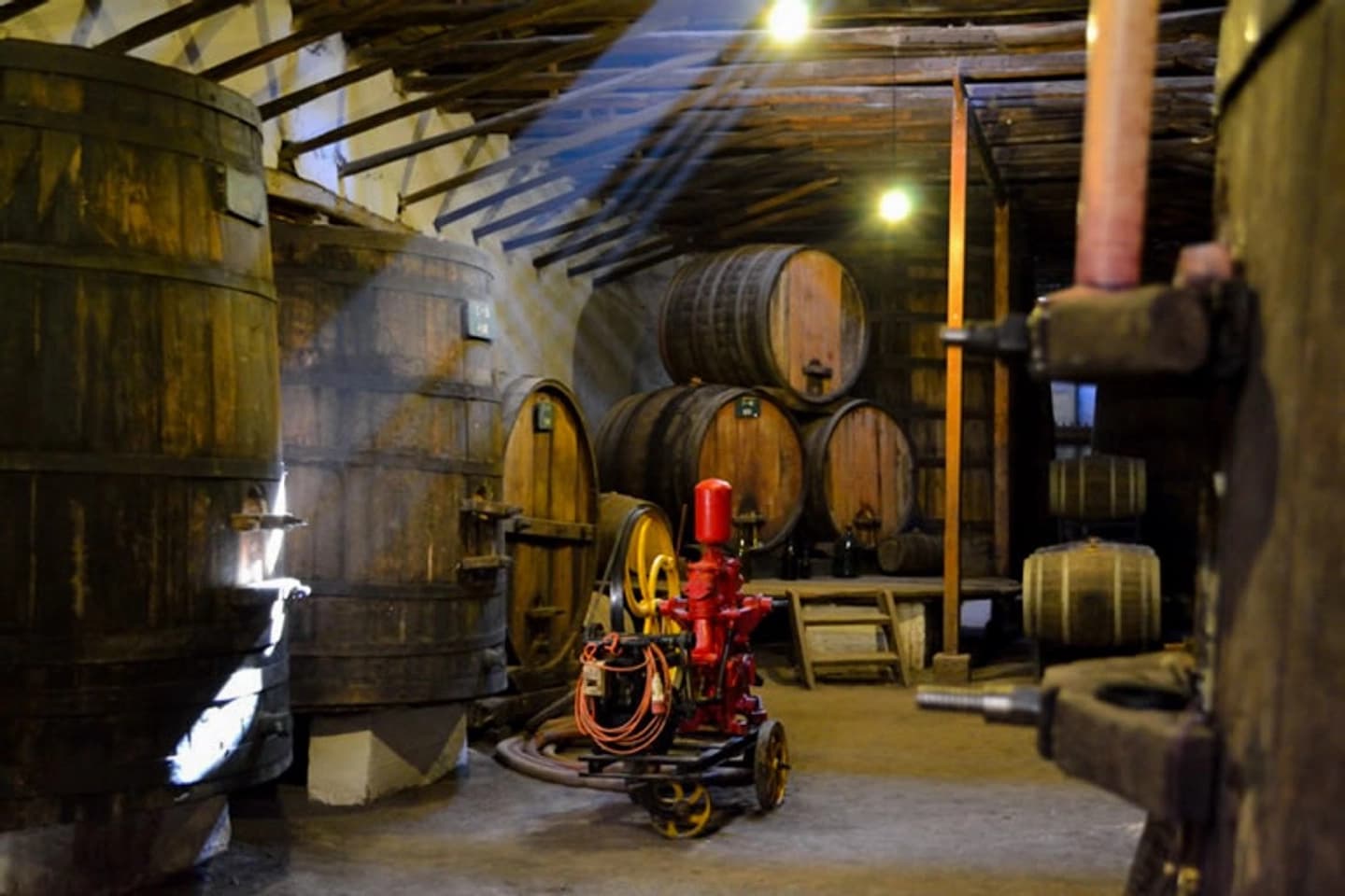 Full Tour Don Enrique: Historia y Vino en Viña Patrimonial