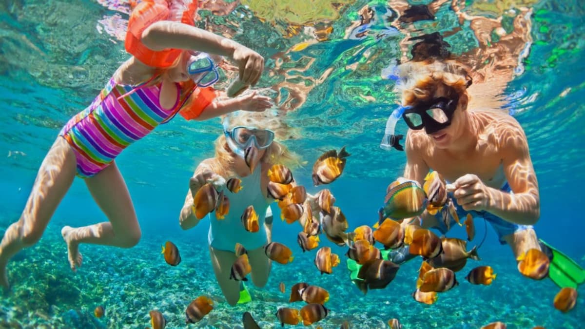 Islas del Rosario: snorkel y Oceanario desde Cartagena con almuerzo