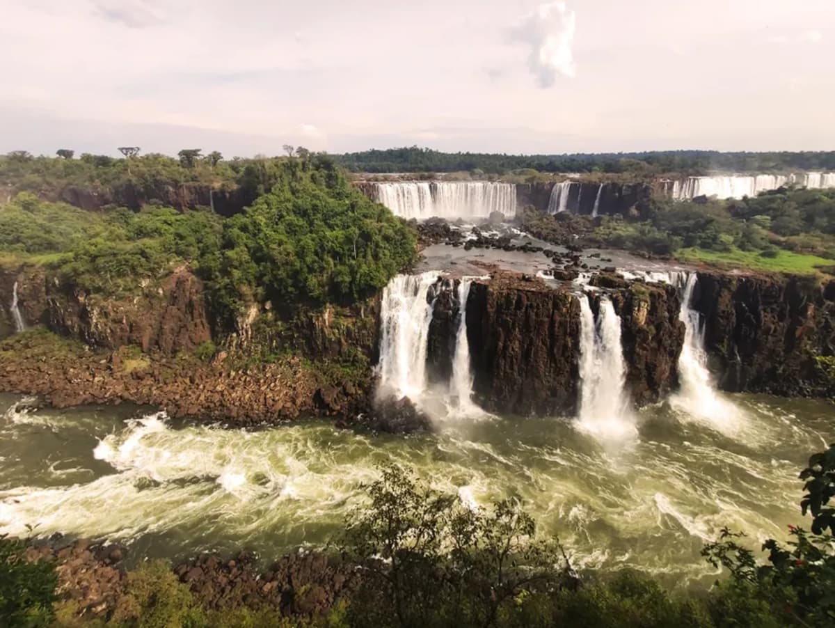 Entrada Macuco Safari en Foz do Iguaçu con recorrido selva y cataratas
