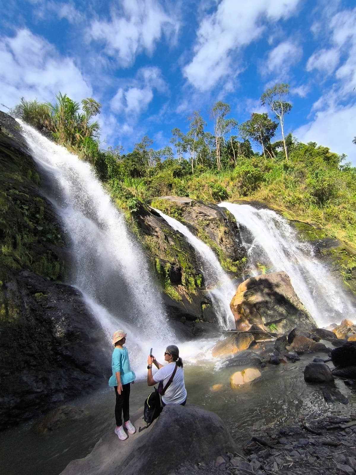 Tour Privado a Finca de Café Orgánico en Cundinamarca desde Bogotá
