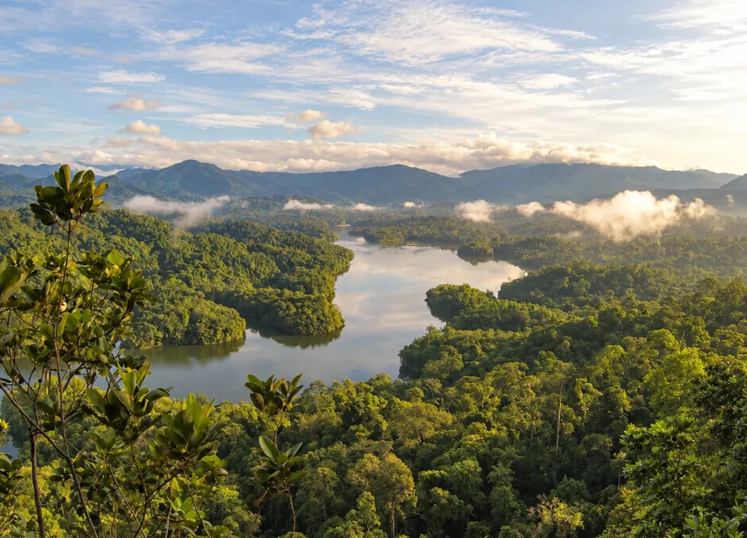 Tarapoto: cataratas, aventura y naturaleza en la selva peruana