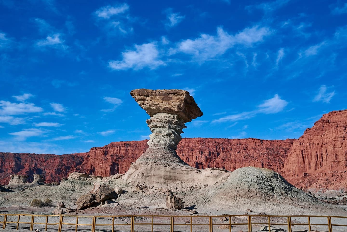 Excursion to Ischigualasto Moon Valley from San Juan