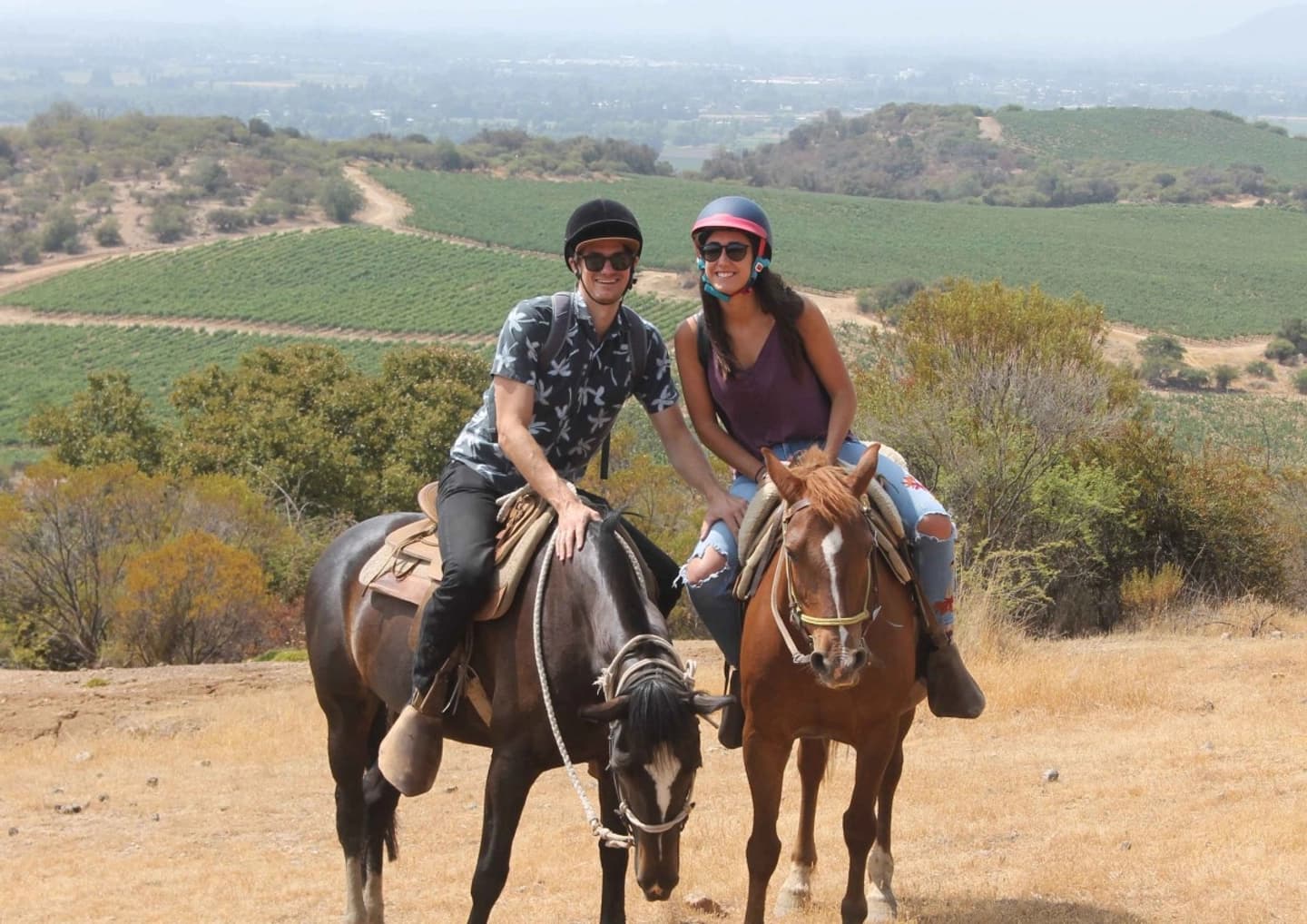 Cabalgata y Degustación en Viña MontGras: Vinos y Paisajes de Colchagua