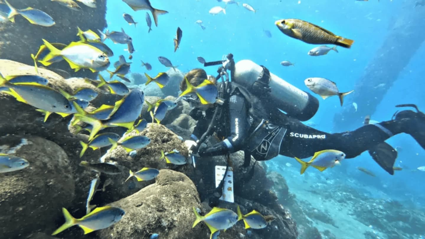 Expedição de Mergulho Duplo na Ilha Robinson Crusoe: Exploração e Aventura