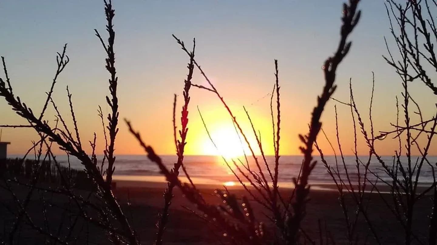 Dia de Praia em Villa Gesell com Mar de las Pampas desde Mar del Plata