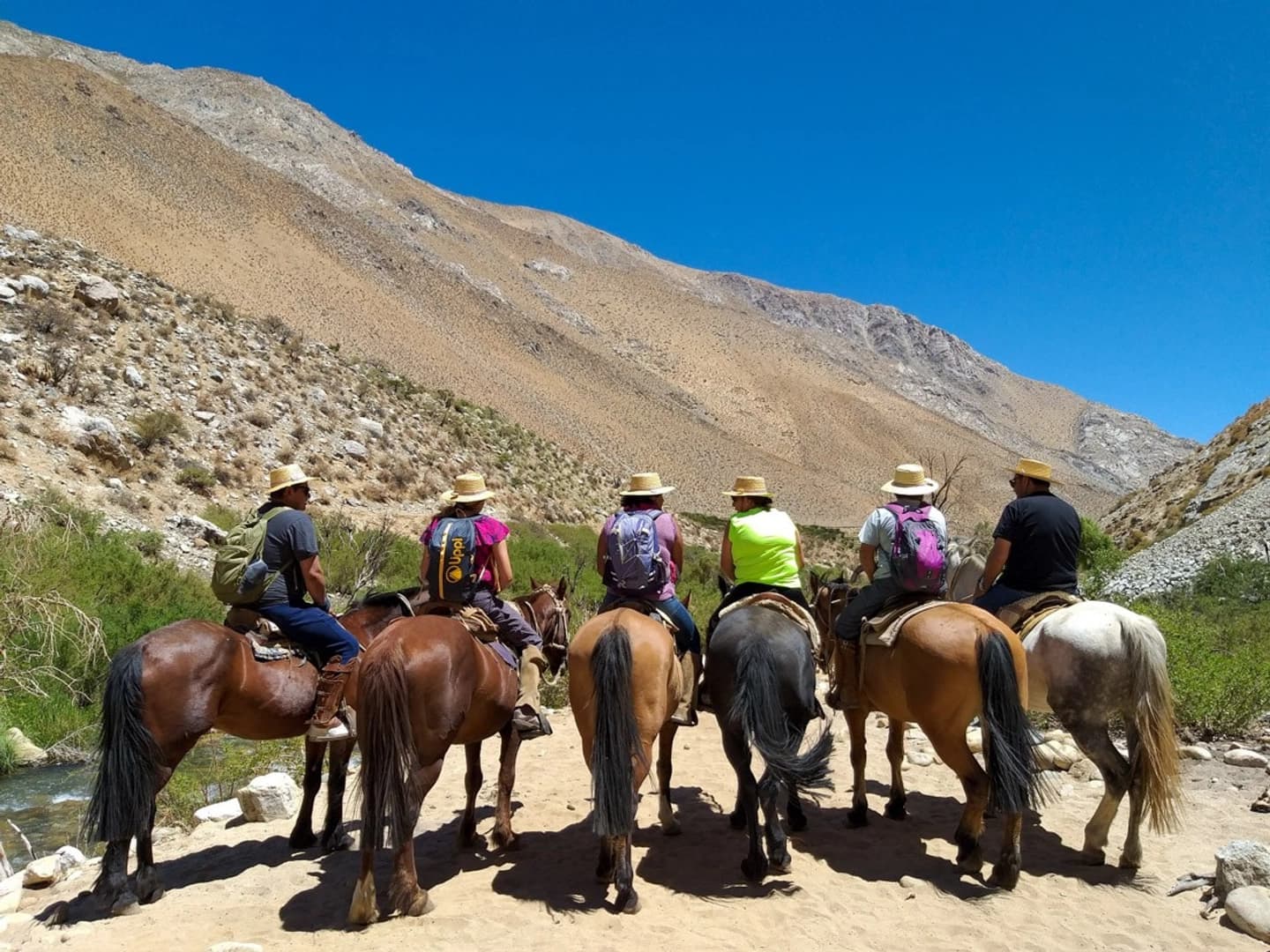 Horseback Riding in the Elqui Valley: Adventure in the Mountains and River
