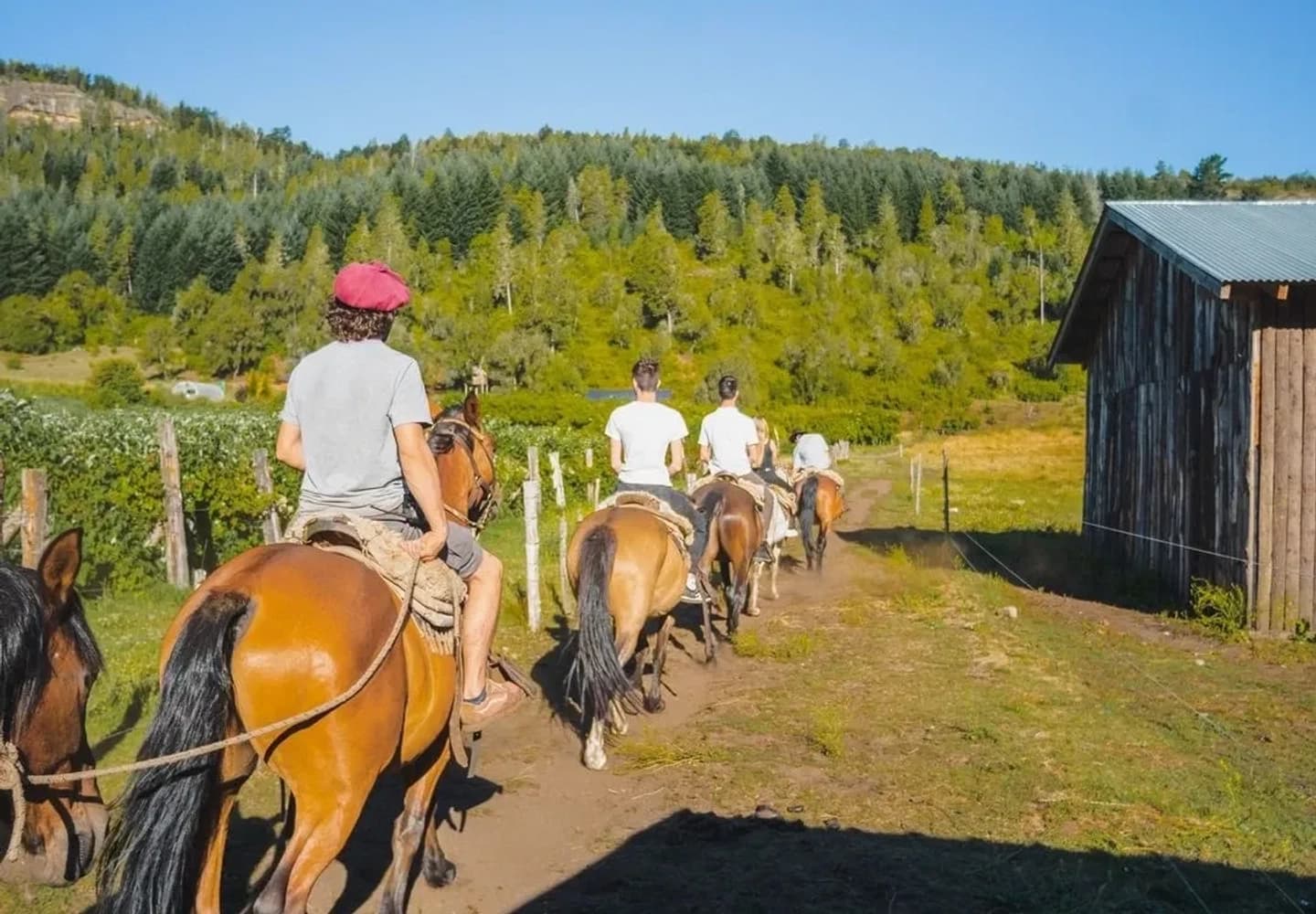 Family Horseback Ride to Hidden Waterfall in El Bolsón