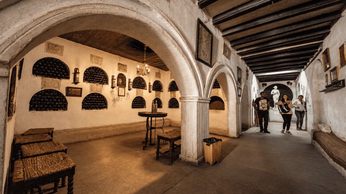 Pisco, Wine and Beer Route Tour in the Elqui Valley from La Serena