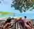 Rosario Islands by Speedboat with Lunch from Cartagena