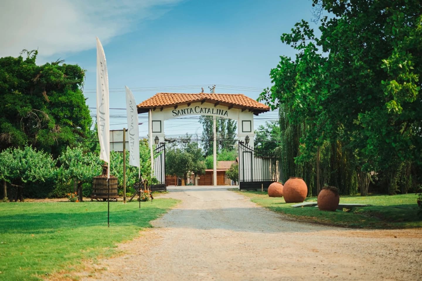 Tour Don Lorenzo en Viña Santa Catalina, Alto Jahuel