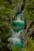 Seven Cups Tour: Explore Waterfalls and Endemic Nature from Curicó