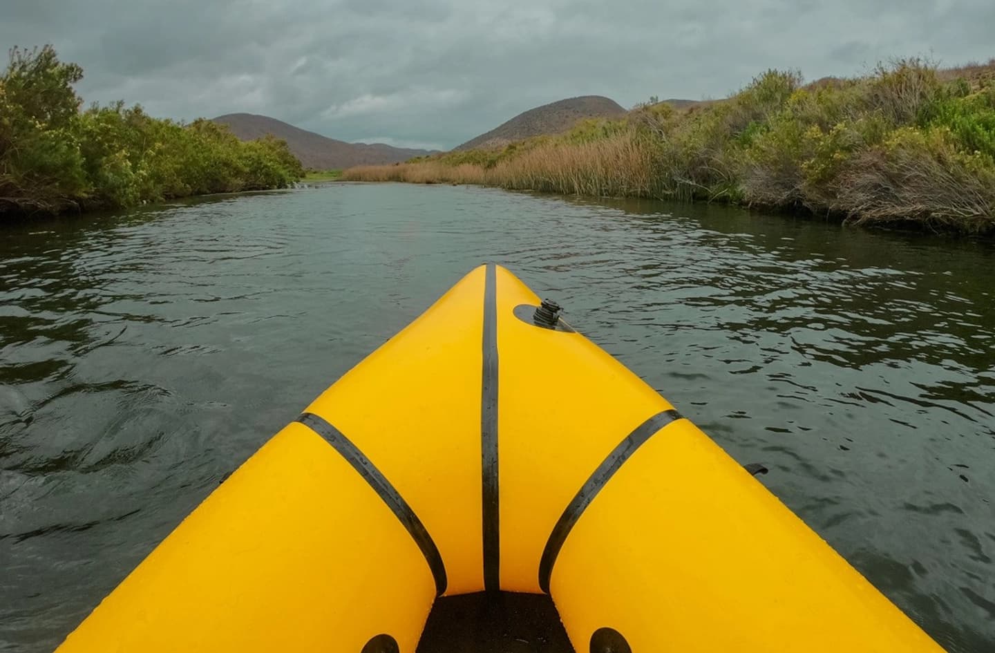 Observación de Aves y Paseo en Kayak a las Puertas del Humedal Río Limarí