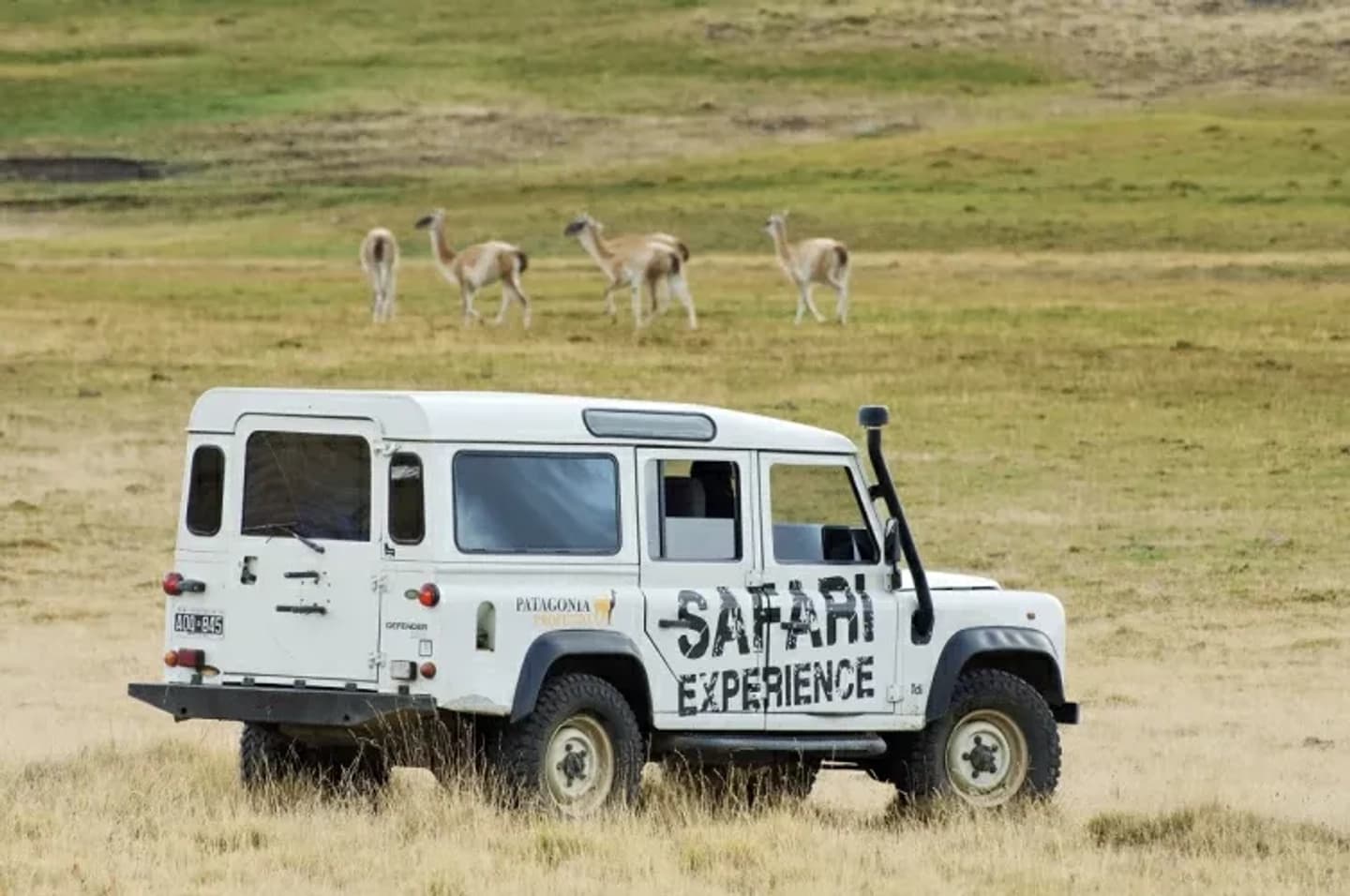 Experiência Safari Excursão 4x4 à Estepa