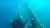 Diving in the Submerged Forest of Villa Traful