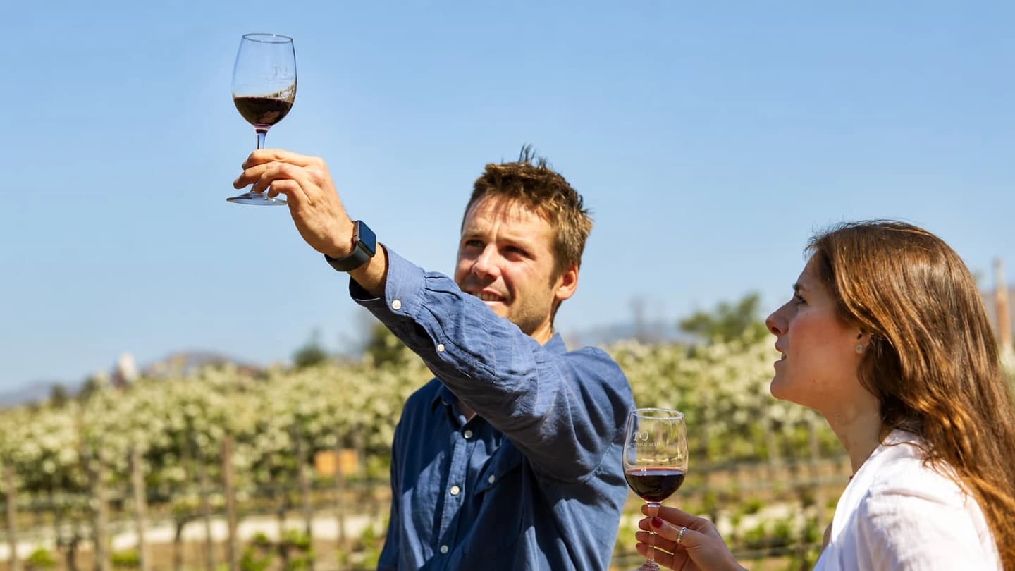 Premium Guided Tour at Concha y Toro Wine Center