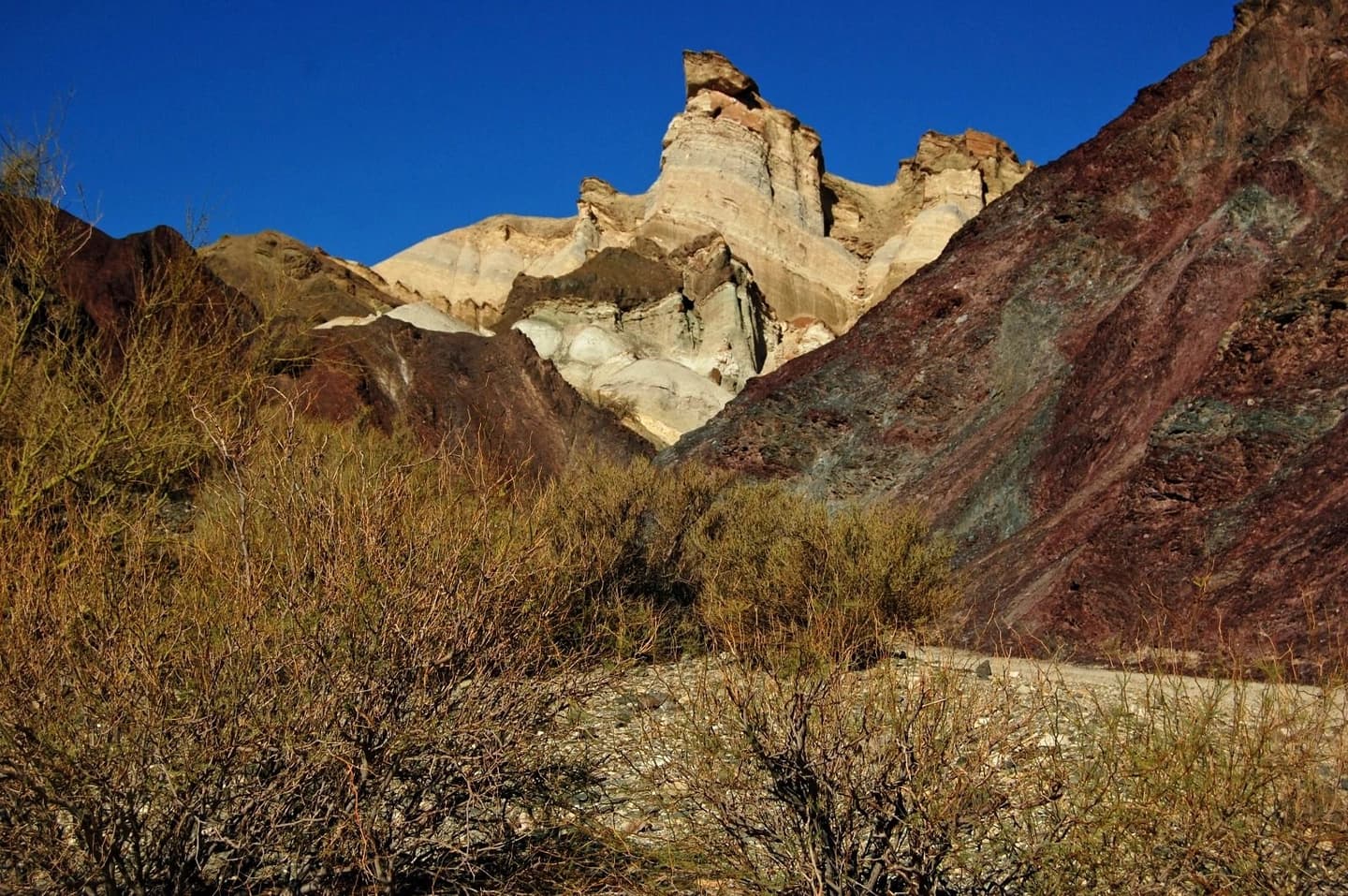 Excursão a Calingasta e Parque Nacional El Leoncito desde San Juan