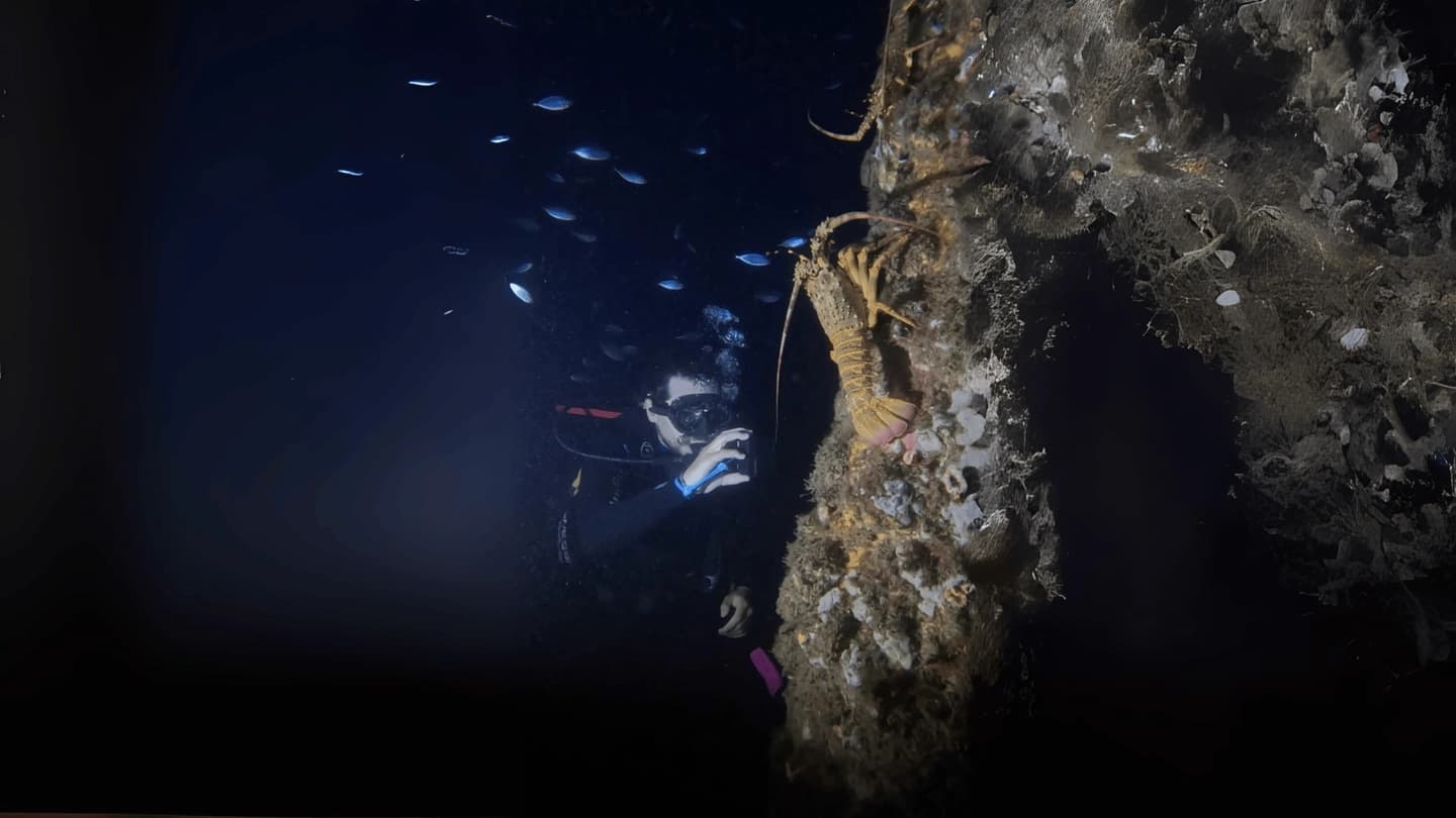 Expedição Submarina Noturna na Ilha Robinson Crusoe