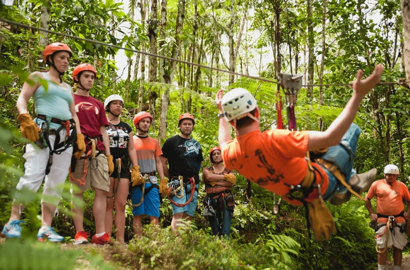 Tour de Canopy en el Bosque Nuboso San Luis desde San José
